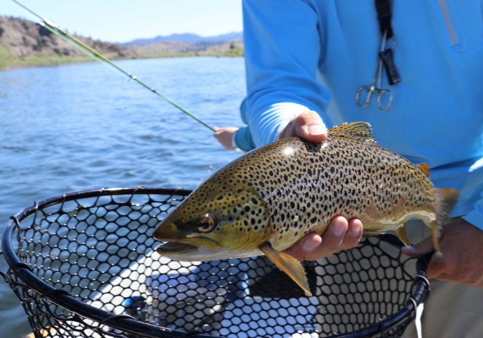 fishing fishing